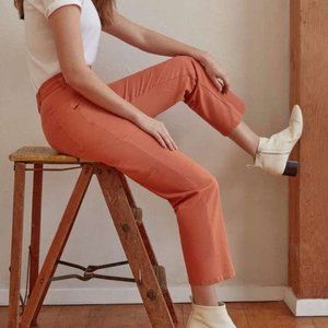 Everlane Carpenter Pant Size 2, Clay